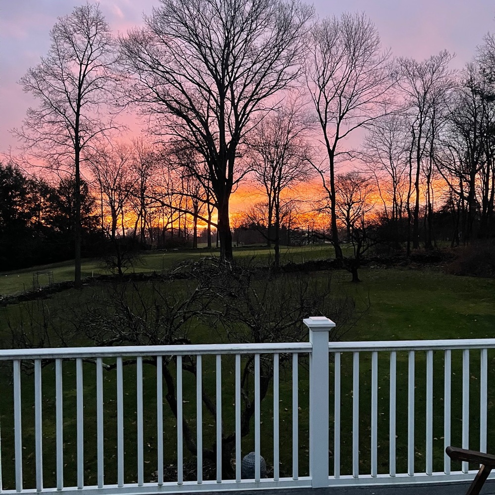 Meet your Posher, Robin